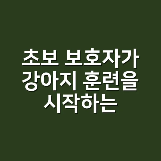 초보 보호자가 강아지 훈련을 시작하는 방법 - 요약