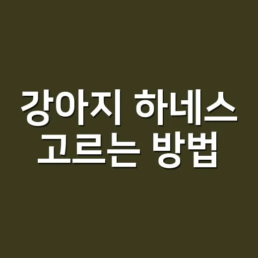 강아지 하네스 고르는 방법, 몸에 맞고 산책이 편해지는 기준 - 요약