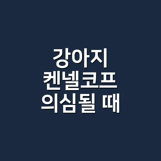 강아지 켄넬코프 의심될 때 집에서 대처하는 방법 - 요약