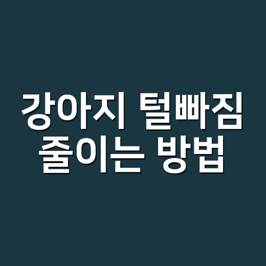 강아지 털빠짐 줄이는 방법, 집에서 관리하려면 이렇게 하세요 - 요약