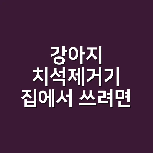 강아지 치석제거기 집에서 쓰려면 이렇게 고르세요 - 요약