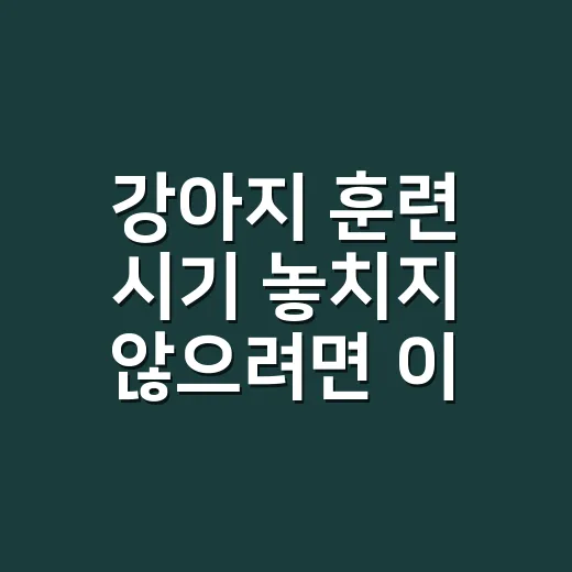 강아지 훈련 시기 놓치지 않으려면 이렇게 시작하세요 - 요약