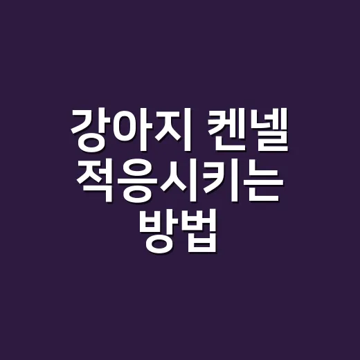 강아지 켄넬 적응시키는 방법, 억지로 넣지 말고 이렇게 시작하세요 - 요약