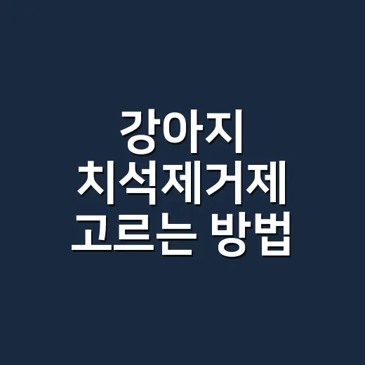 강아지 치석제거제 고르는 방법, 광고보다 먼저 봐야 할 기준 - 요약