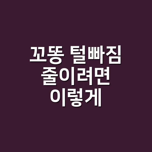 꼬똥 털빠짐 줄이려면 이렇게 관리하세요 - 요약