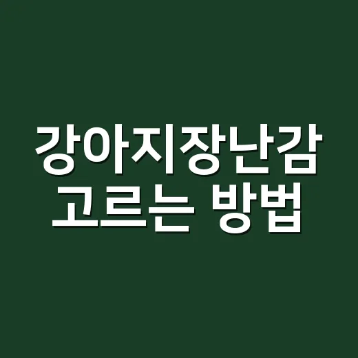 강아지장난감 고르는 방법, 오래 물고 놀게 하려면 이렇게 보세요 - 요약