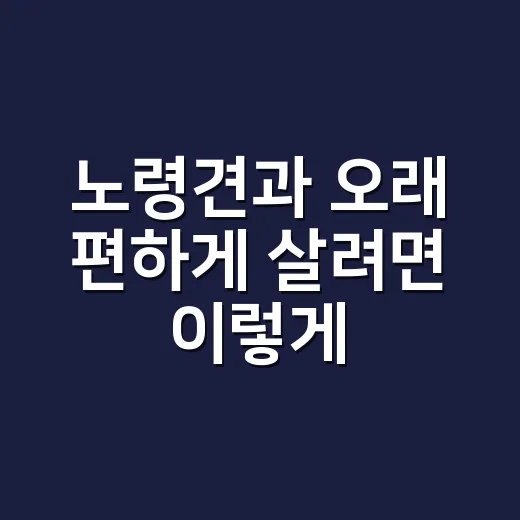 노령견과 오래 편하게 살려면 이렇게 돌봐야 합니다 - 요약