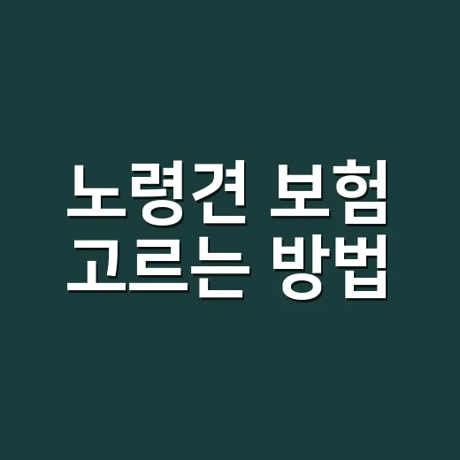 노령견 보험 고르는…