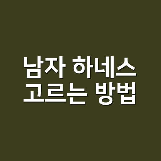 남자 하네스 고르는 방법, 힘 좋은 보호자와 예민한 강아지 모두 편하려면 이렇게 - 요약