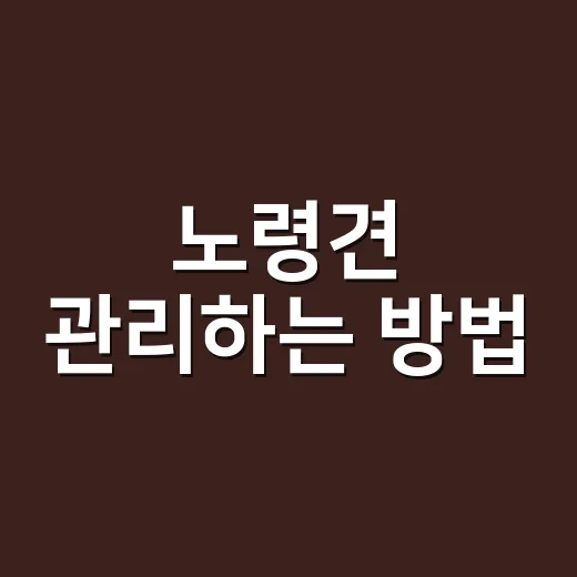 노령견 관리하는 방…