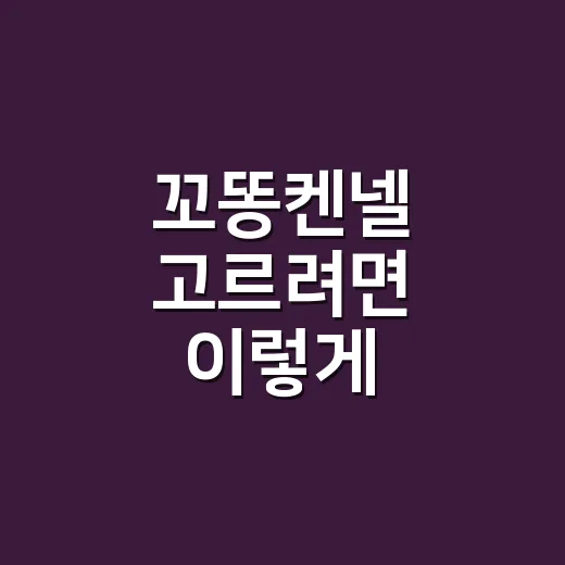 꼬똥켄넬 고르려면 이렇게 확인하세요 - 요약