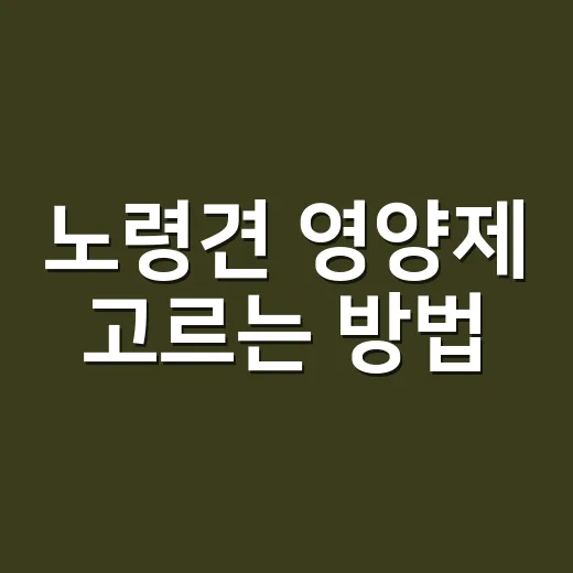 노령견 영양제 고르…
