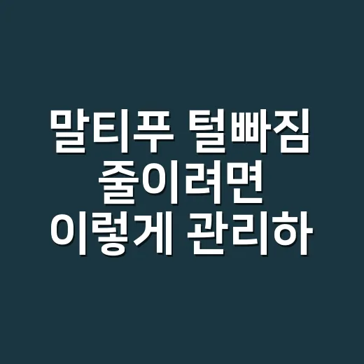 말티푸 털빠짐 줄이…