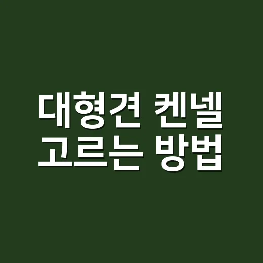 대형견 켄넬 고르는…