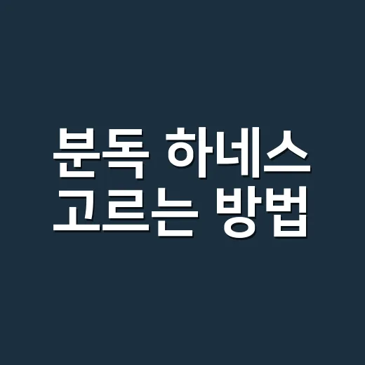 분독 하네스 고르는 방법, 산책이 힘든 보호자에게 먼저 보는 기준 - 요약