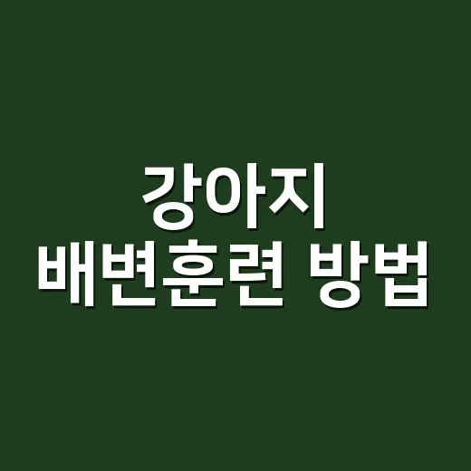 강아지 배변훈련 방법, 초보 보호자가 처음부터 이렇게 잡으면 덜 흔들립니다 - 요약