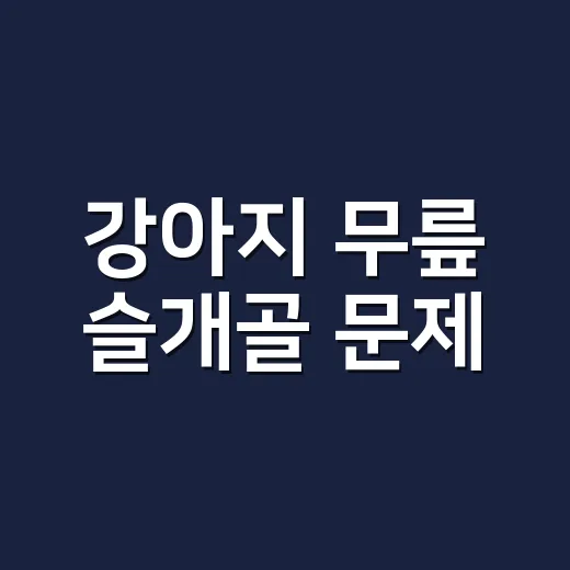 강아지 무릎 슬개골 문제, 집에서 악화 막는 방법 - 요약