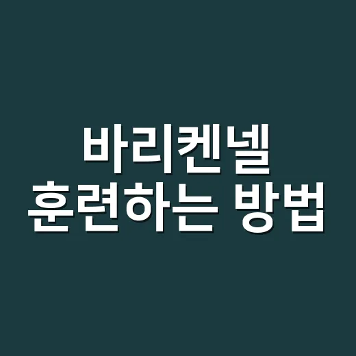 바리켄넬 훈련하는 방법, 억지로 넣지 않고 집처럼 만드는 순서 - 요약