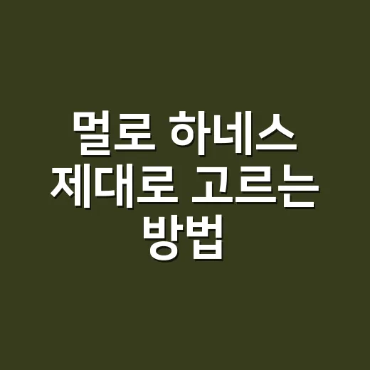 멀로 하네스 제대로 고르는 방법, 산책이 편해지려면 이렇게 맞춰야 합니다 - 요약