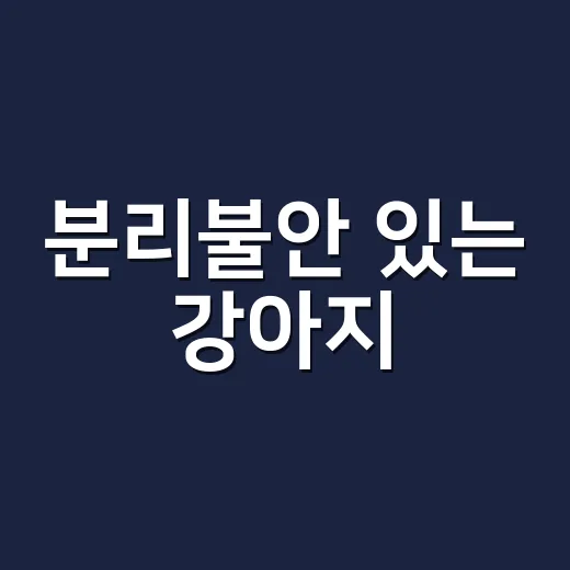 분리불안 있는 강아지, 혼자 있는 시간을 늘리는 방법 - 요약
