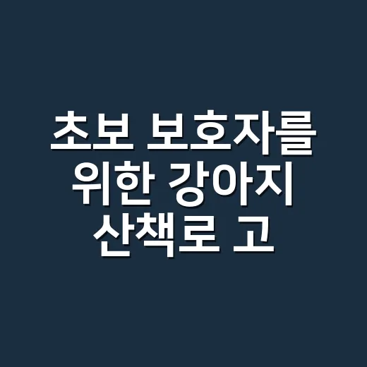 초보 보호자를 위한 강아지 산책로 고르는 방법 - 요약