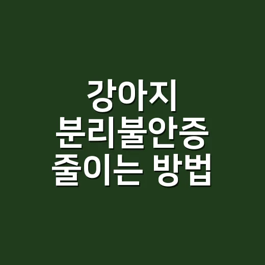강아지 분리불안증 줄이는 방법, 혼자 있는 시간을 다시 가르치려면 이렇게
