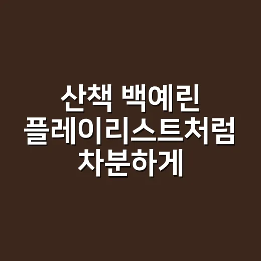 산책 백예린 플레이리스트처럼 차분하게 걷게 하는 방법 - 요약