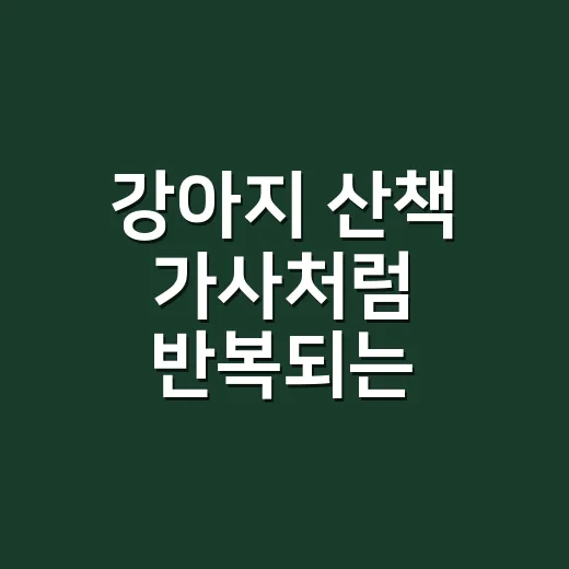강아지 산책 가사처럼 반복되는 문제행동 줄이는 방법 - 요약