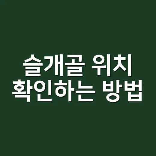 슬개골 위치 확인하는 방법, 집에서 만져볼 때 놓치기 쉬운 것들 - 요약