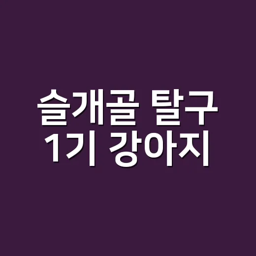 슬개골 탈구 1기 강아지, 수술 전 집에서 관리하는 방법 - 요약
