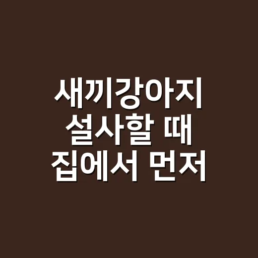 새끼강아지 설사할 때 집에서 먼저 확인하는 방법 - 요약