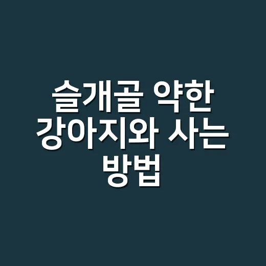 슬개골 약한 강아지와 사는 방법: 집에서 먼저 바꿔야 할 7가지 - 요약
