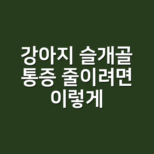 강아지 슬개골 통증 줄이려면 이렇게 관리하세요 - 요약