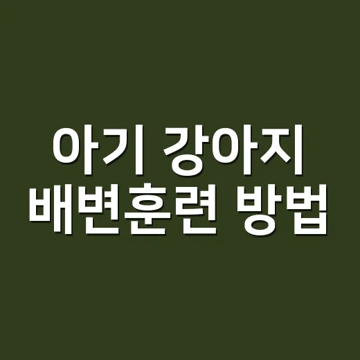 아기 강아지 배변훈련 방법, 집에 온 첫날부터 이렇게 잡아주세요 - 요약