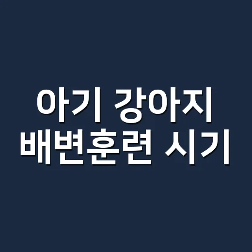 아기 강아지 배변훈련 시기, 처음 데려온 날부터 이렇게 잡으세요 - 요약