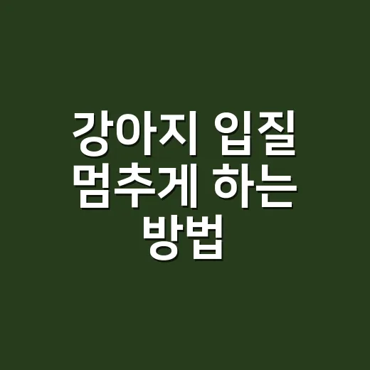 강아지 입질 멈추게 하는 방법, 혼내기 전에 순서부터 바꾸세요 - 요약