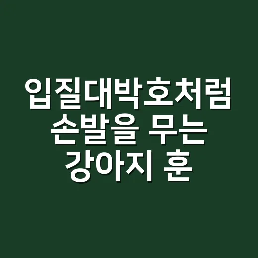 입질대박호처럼 손발을 무는 강아지 훈련하는 방법 - 요약