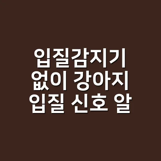 입질감지기 없이 강아지 입질 신호 알아차리는 방법 - 요약