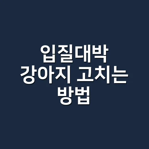 입질대박 강아지 고치는 방법, 혼내기 전에 순서부터 바꾸세요 - 요약