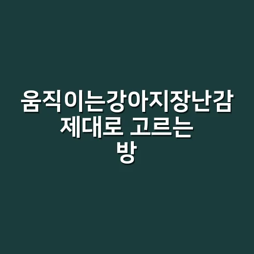 움직이는강아지장난감 제대로 고르는 방법, 흥분만 키우지 않으려면 이렇게 - 요약