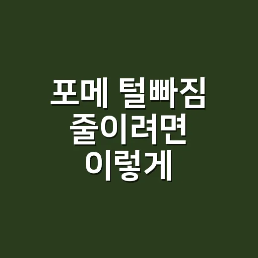 포메 털빠짐 줄이려면 이렇게 관리하세요 - 요약