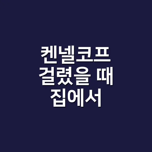 켄넬코프 걸렸을 때 집에서 관리하는 방법 - 요약