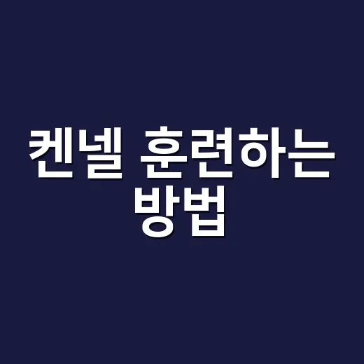 켄넬 훈련하는 방법, 억지로 넣지 않고 쉬는 공간으로 만드는 법 - 요약