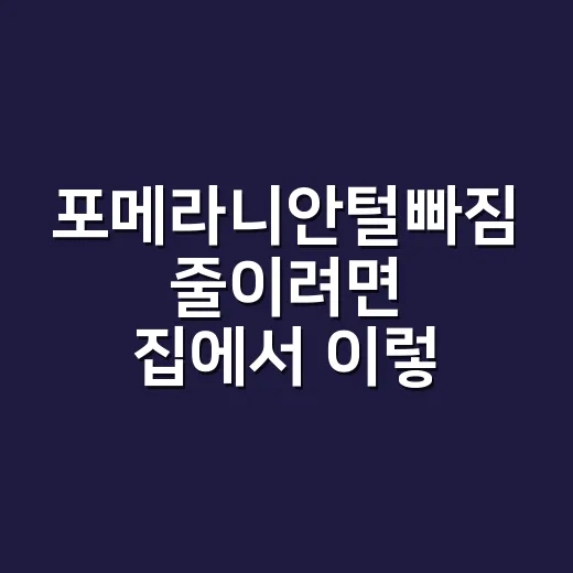 포메라니안털빠짐 줄이려면 집에서 이렇게 관리하세요 - 요약