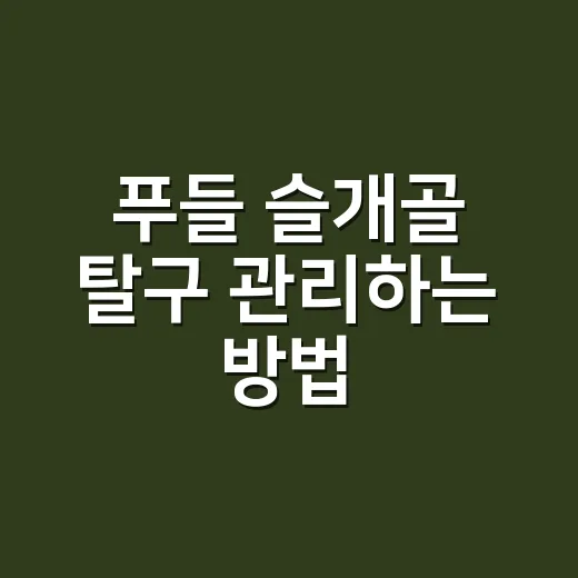 푸들 슬개골 탈구 관리하는 방법, 집에서 먼저 바꿔야 할 것들 - 요약