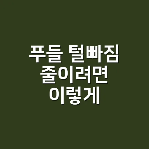 푸들 털빠짐 줄이려면 이렇게 관리하세요 - 요약