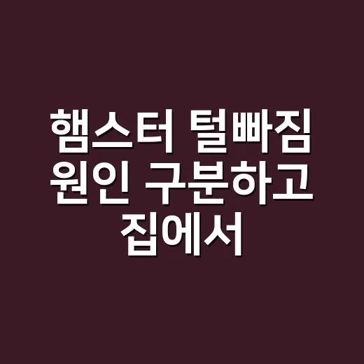 햄스터 털빠짐 원인 구분하고 집에서 관리하는 방법 - 요약