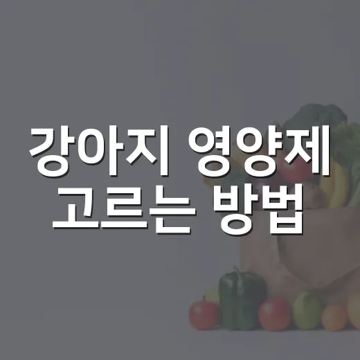 강아지 영양제 고르는 방법, 사료보다 먼저 보면 안 되는 것들 - 요약