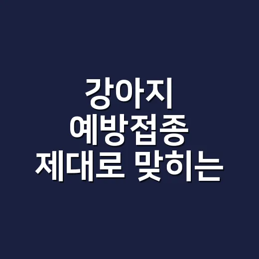 강아지 예방접종 제대로 맞히는 방법, 시기보다 더 중요한 것들 - 요약