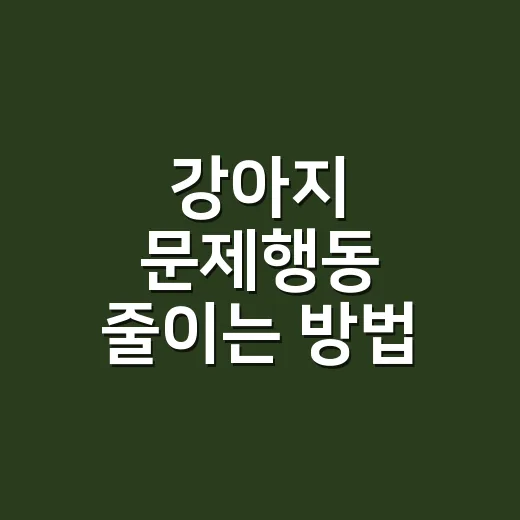 강아지 문제행동 줄이는 방법, 집에서 먼저 바꿔야 할 5가지 - 요약